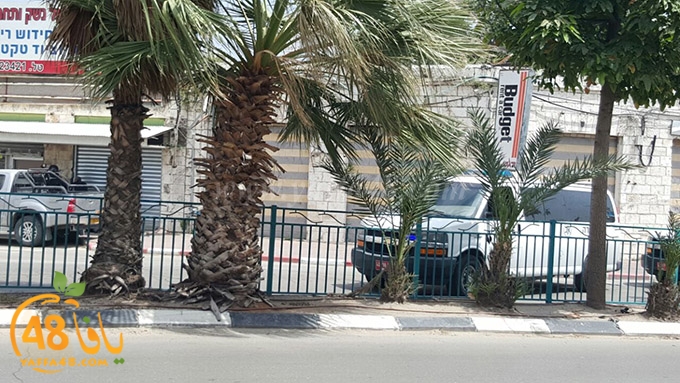 jesm mashboh ramala (7).jpg